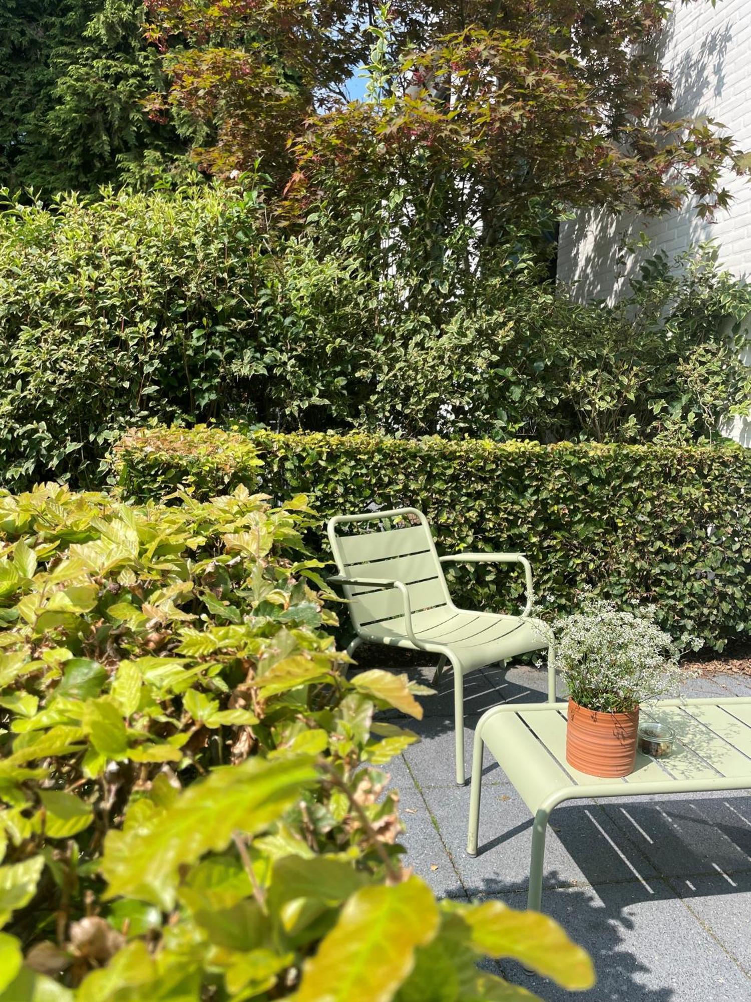 Witte Berken Natuurhotel Epe Ngoại thất bức ảnh